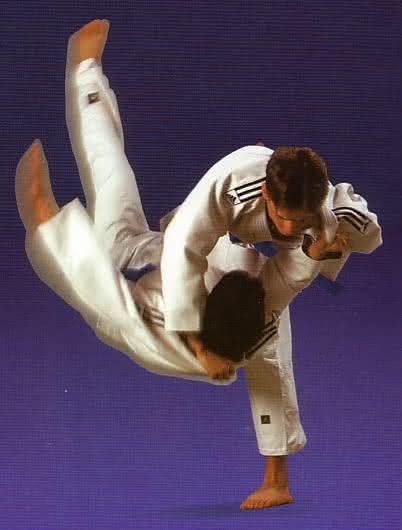 http://www.portalbarueri.com/wp-content/uploads/2010/06/judo1.jpg
