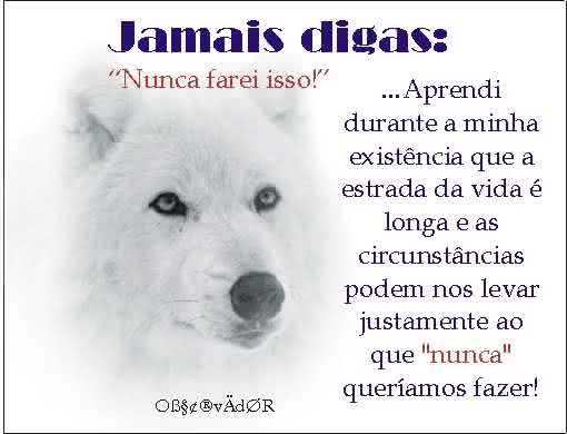 frases-bonitas1